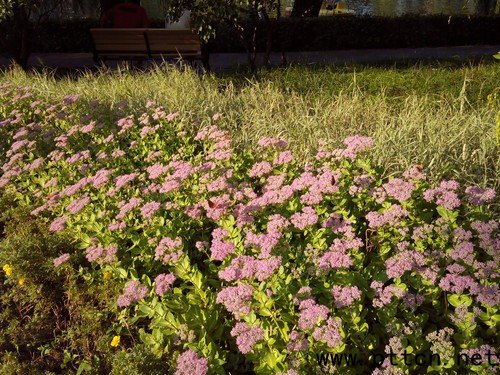 IP67���eȫ�ܷ�C�� �����p����ĿV9�u�y 
