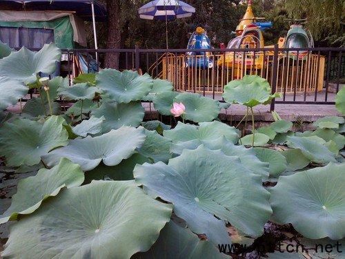 IP67���eȫ�ܷ�C�� �����p����ĿV9�u�y 