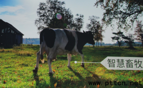 ��(li��n)�W(w��ng)�o�������a(ch��n)�I(y��)�����޴�C(j��)��������I(l��ng)������󌢱��q6